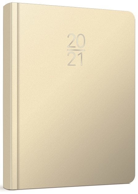 Gıpta Ajanda 20X28 Günlük Cilt Bezi 119-ECK 2025