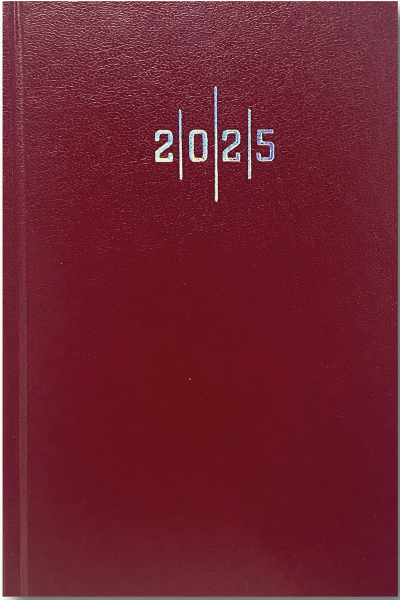 Liz Ekonomik Cilt Bezi 14X20 Çizgili Ajanda 2025 AJ902E