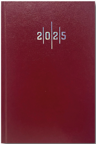Liz Ekonomik Cilt Bezi 17X24 Çizgili Ajanda 2025 AJ907