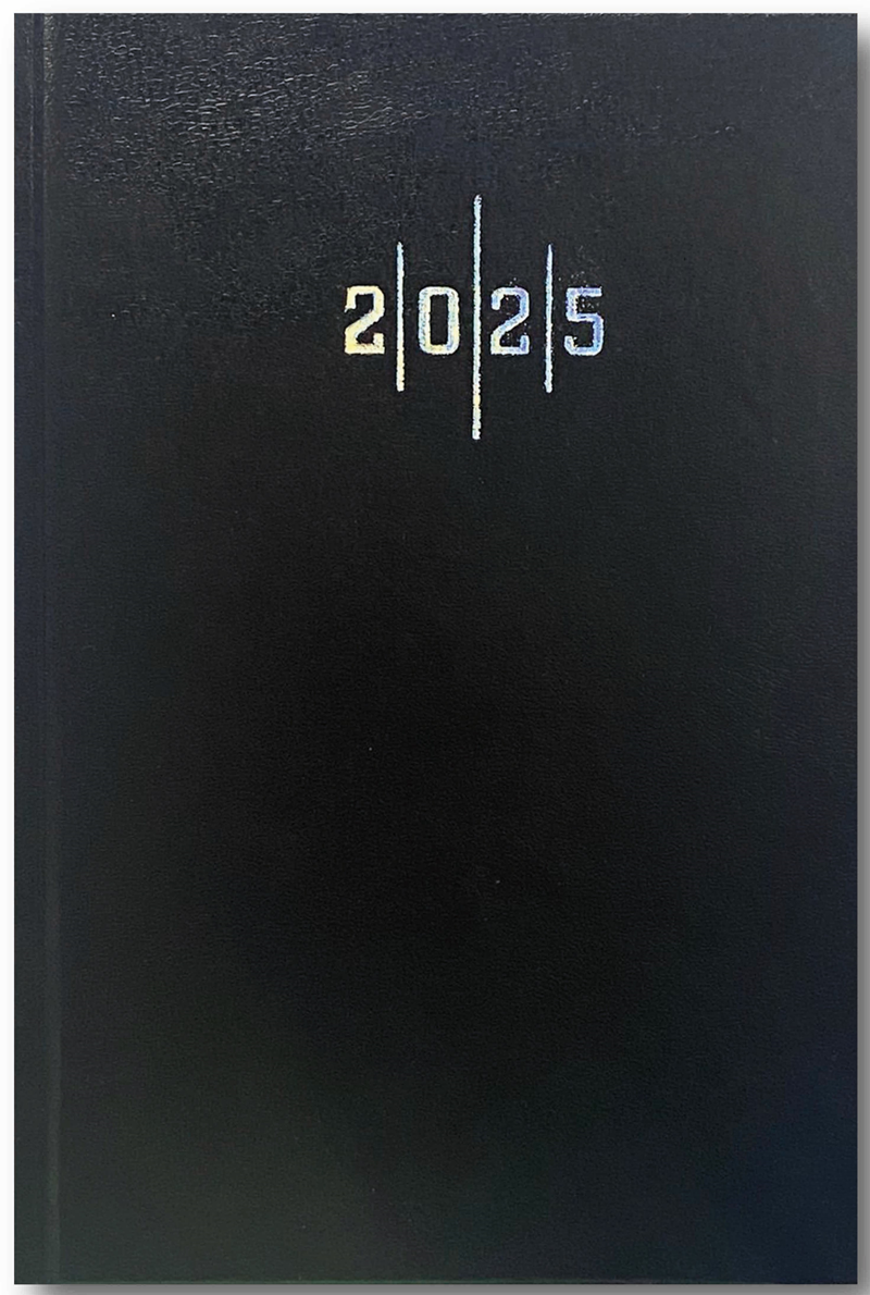 Liz Ekonomik Cilt Bezi 17X24 Çizgili Ajanda 2025 AJ907
