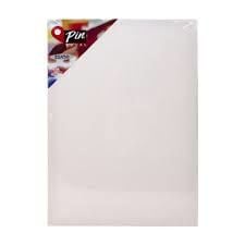 Pin Tuval 35x50 6711