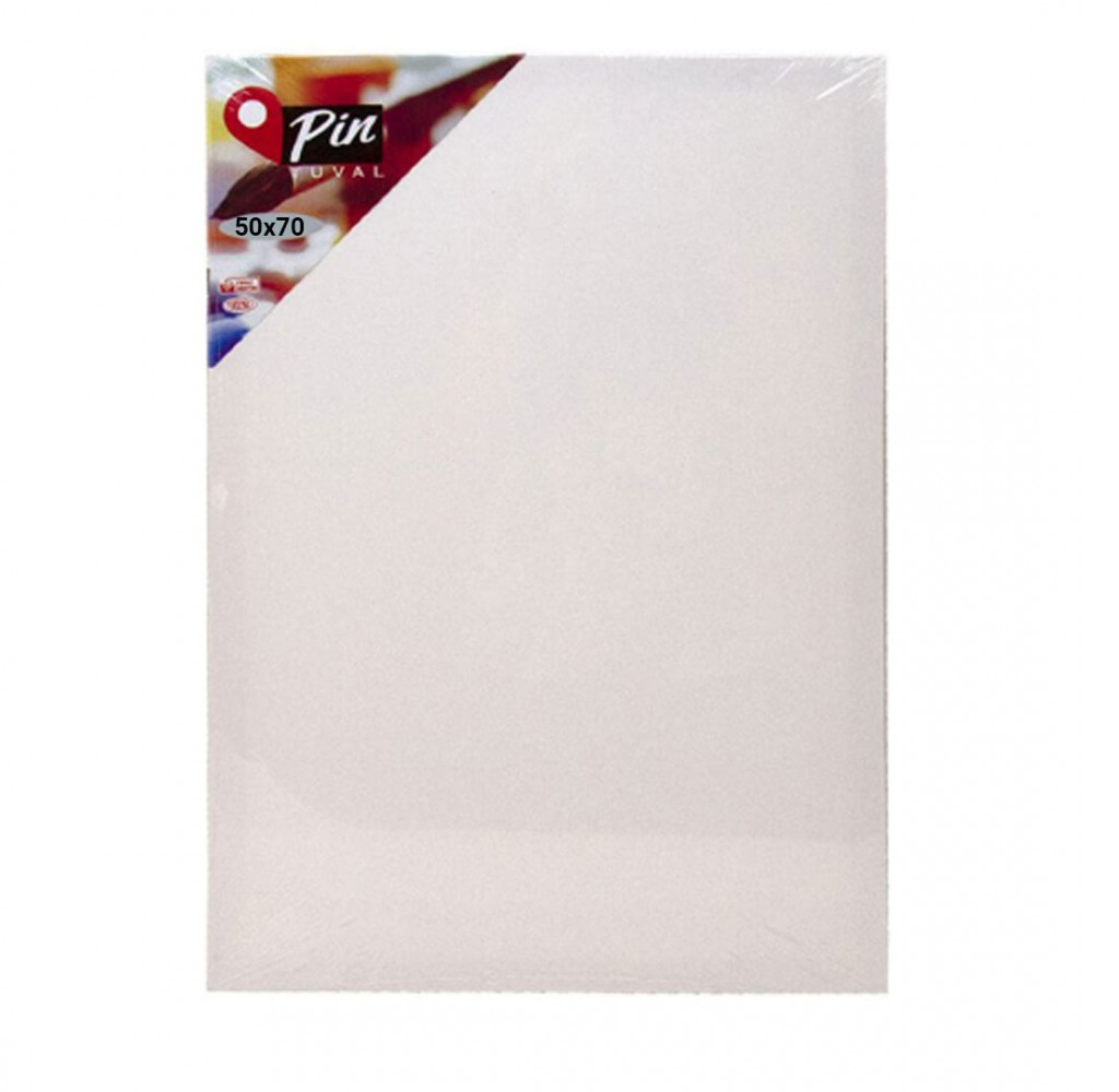 Pin Tuval 50x70 6728