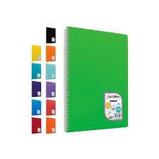 Çınar A5 72 Yaprak Spiralli Colormaxi P.P Kapak Çizgili