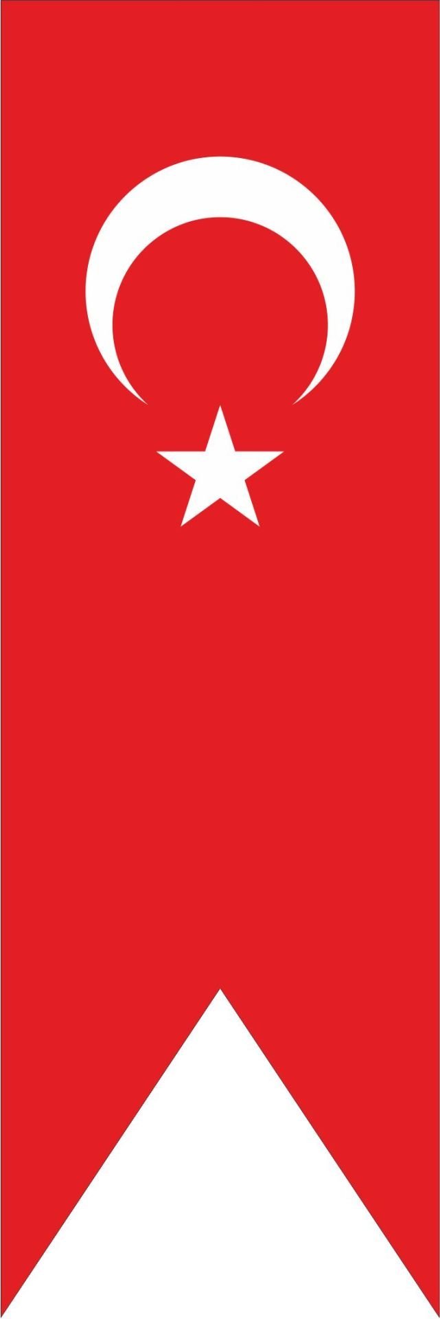 Ormi 50X200 Kırlangıç Türk Bayrağı