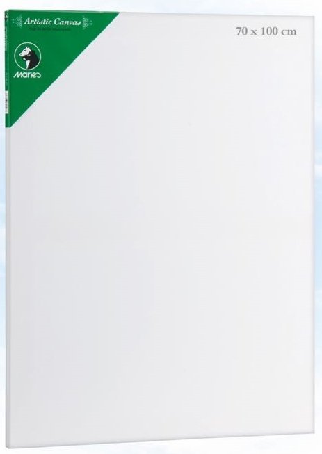 Maries Tuval Canvas E5309 70x100CM MRTUL0009
